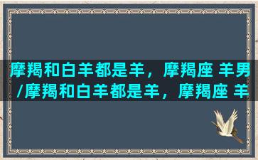 摩羯和白羊都是羊，摩羯座 羊男/摩羯和白羊都是羊，摩羯座 羊男-我的网站